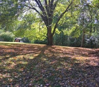 3924 Cedar St, Centerville, TN 37033 photo 12