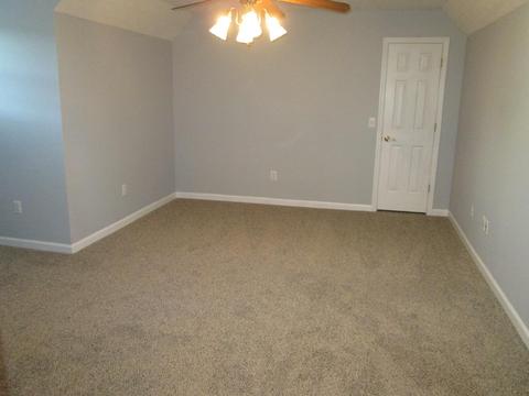 708 3rd Ave W, Springfield, TN 37172 photo 17