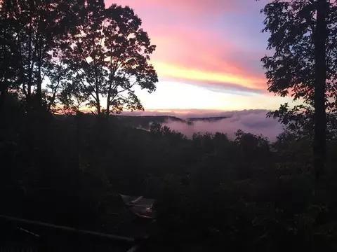 361 Saddle Tree Ln, Sewanee, TN 37375 photo 23