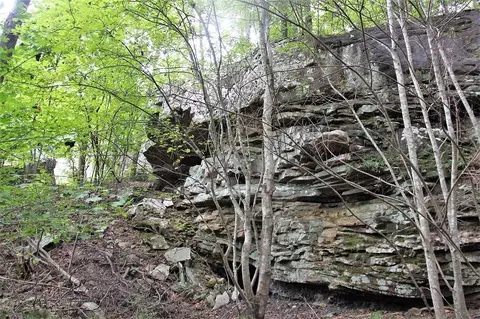 361 Saddle Tree Ln, Sewanee, TN 37375 photo 26