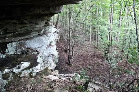 361 Saddle Tree Ln, Sewanee, TN 37375 photo 28