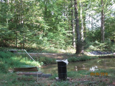 1119 Mitchell Rd, Pulaski, TN 38478 photo 4