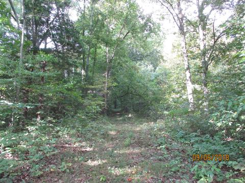 1119 Mitchell Rd, Pulaski, TN 38478 photo 29