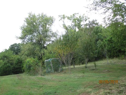 1119 Mitchell Rd, Pulaski, TN 38478 photo 26
