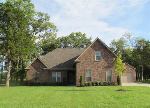 209 Amazonway Rdg, Murfreesboro, TN 37130 photo 1