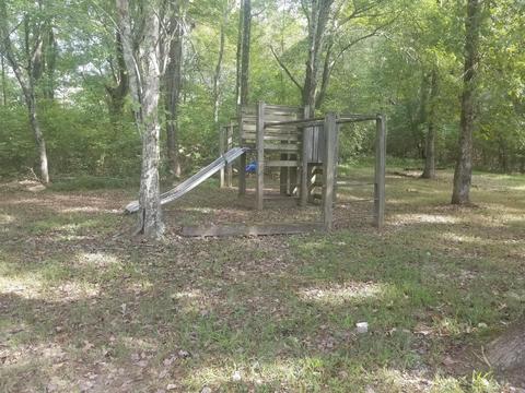 236 Fire Tower Rd, Dickson, TN 37055 photo 23