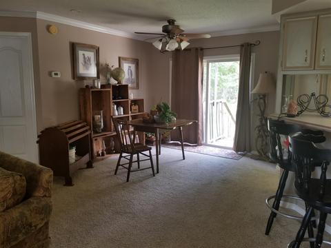 236 Fire Tower Rd, Dickson, TN 37055 photo 12