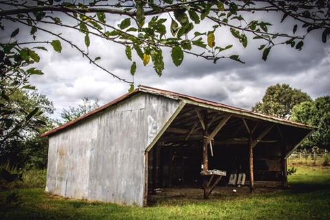 1143 Rabbit Trail Rd, Five Points, TN 38457 photo 4