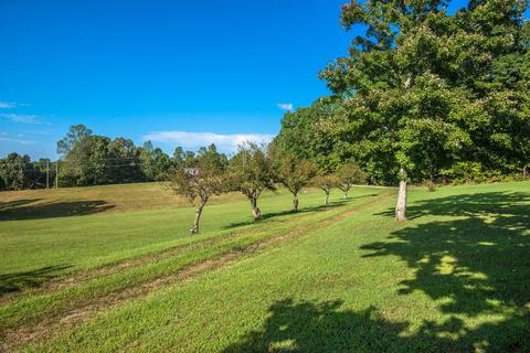 390 Murrell Rd, Dickson, TN 37055 photo 24