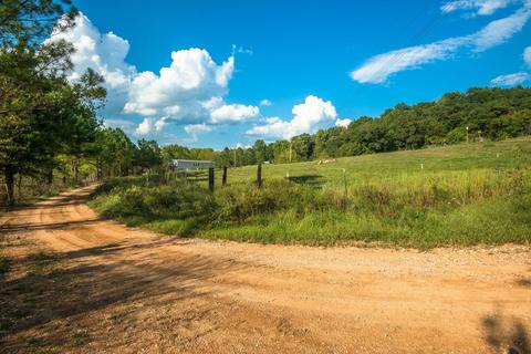 315 Jenkins Rd, Centerville, TN 37033 photo 1