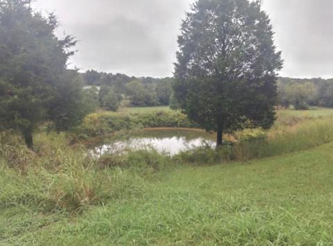 136 Freeman Rd, Cunningham, TN 37052 photo 19
