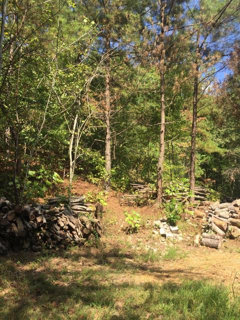 876 Dave Risner Rd, Ethridge, TN 38456 photo 19