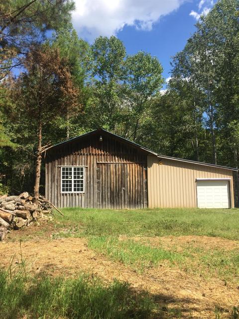 876 Dave Risner Rd, Ethridge, TN 38456 photo 11