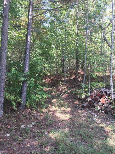 876 Dave Risner Rd, Ethridge, TN 38456 photo 18