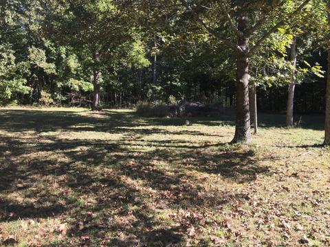 110 Spencer Dr, Beechgrove, TN 37018 photo 14