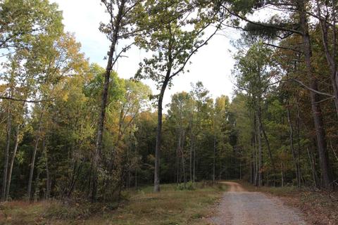182 River Rd, Dover, TN 37058 photo 7