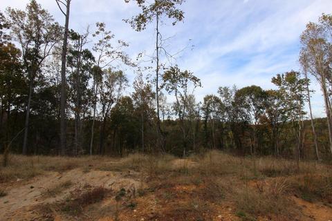 182 River Rd, Dover, TN 37058 photo 28