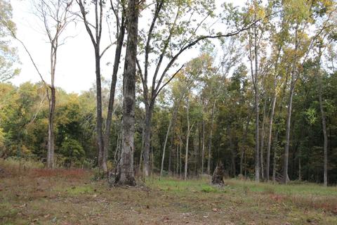 182 River Rd, Dover, TN 37058 photo 8