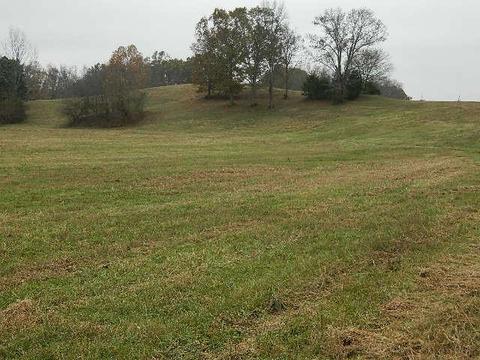 4869 Ash Hill Rd, Spring Hill, TN 37174 photo 2
