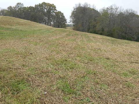4869 Ash Hill Rd, Spring Hill, TN 37174 photo 3