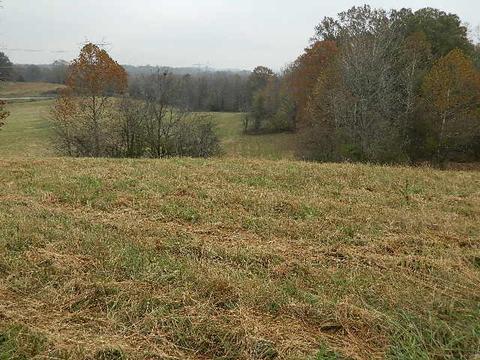 4869 Ash Hill Rd, Spring Hill, TN 37174 photo 4