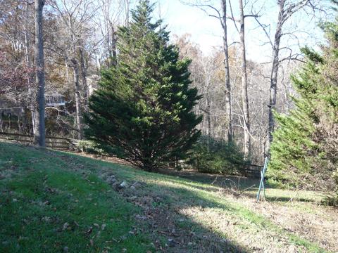 120 Scenic Rd, Normandy, TN 37360 photo 30