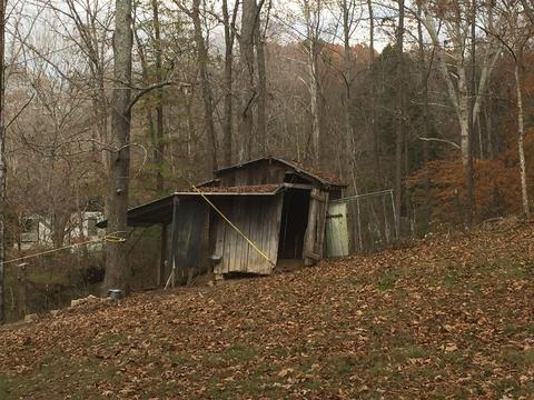 1462 Terrell Branch Rd, Centerville, TN 37033 photo 13