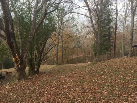 1462 Terrell Branch Rd, Centerville, TN 37033 photo 16