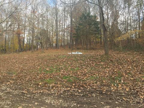 1462 Terrell Branch Rd, Centerville, TN 37033 photo 15