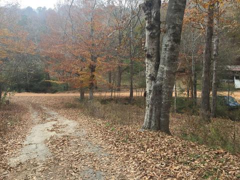 1462 Terrell Branch Rd, Centerville, TN 37033 photo 11