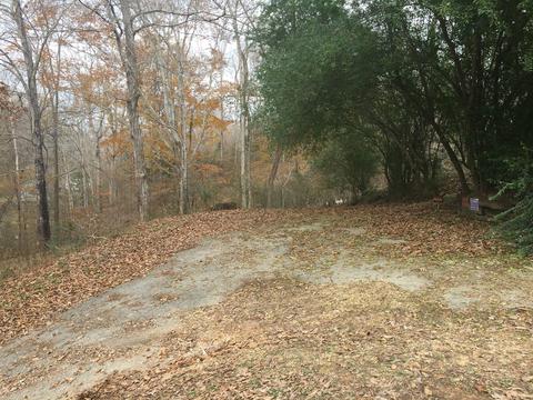 1462 Terrell Branch Rd, Centerville, TN 37033 photo 12