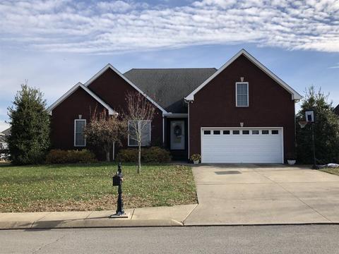 160 Brandywine Ln, Springfield, TN 37172 photo 1