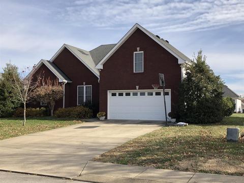 160 Brandywine Ln, Springfield, TN 37172 photo 2