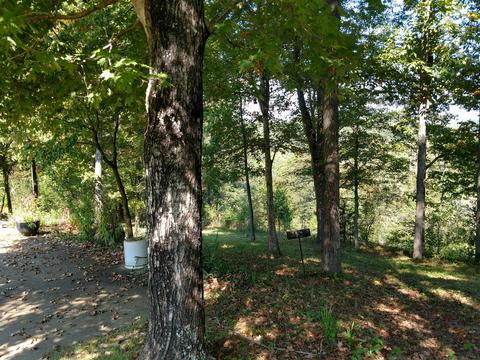 730 Hickory St, Centerville, TN 37033 photo 7