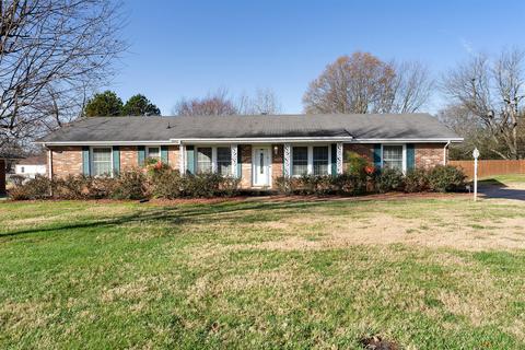 113 Blackpatch Dr, Springfield, TN 37172 photo 3