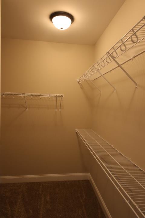2812 Lightning Bug Dr, Murfreesboro, TN 37129 photo 9
