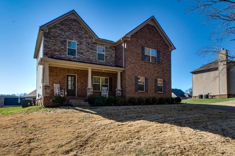 7371 Crow Cut Rd, Fairview, TN 37062 photo 3
