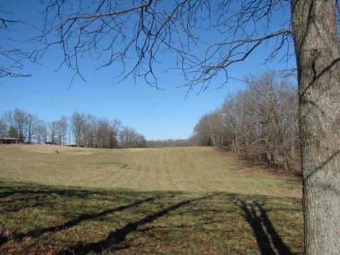 1040 Glendale Dr, Dickson, TN 37055 photo 2