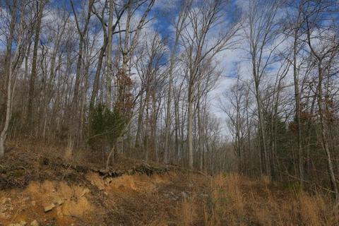 4404 Hannah Ford Rd, Pegram, TN 37143