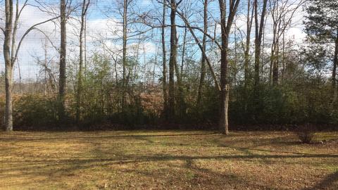 919 Glisson Rd, Paris, TN 38242 photo 17