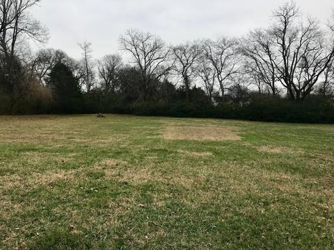 206 Ivanhoe Ct, Murfreesboro, TN 37127 photo 3
