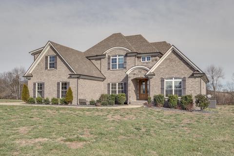 138 Tom Walker Dr, Beechgrove, TN 37018 photo 1