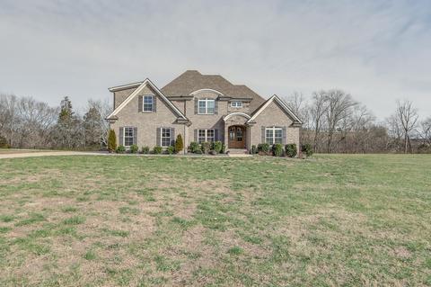 138 Tom Walker Dr, Beechgrove, TN 37018 photo 30