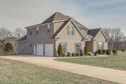 138 Tom Walker Dr, Beechgrove, TN 37018 photo 4