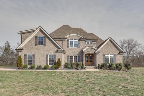 138 Tom Walker Dr, Beechgrove, TN 37018 photo 3
