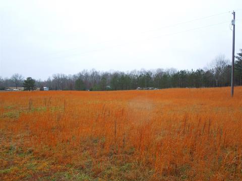 104 Beegee Mccree Landing-104, Goodspring, TN 38460 photo 22