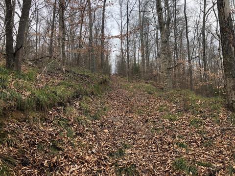 1820 E Piney Rd, Dickson, TN 37055 photo 8
