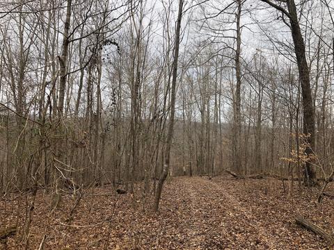1820 E Piney Rd, Dickson, TN 37055 photo 9
