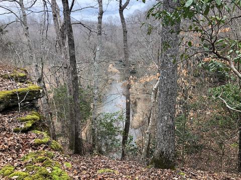 1820 E Piney Rd, Dickson, TN 37055 photo 5