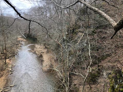 1820 E Piney Rd, Dickson, TN 37055 photo 6